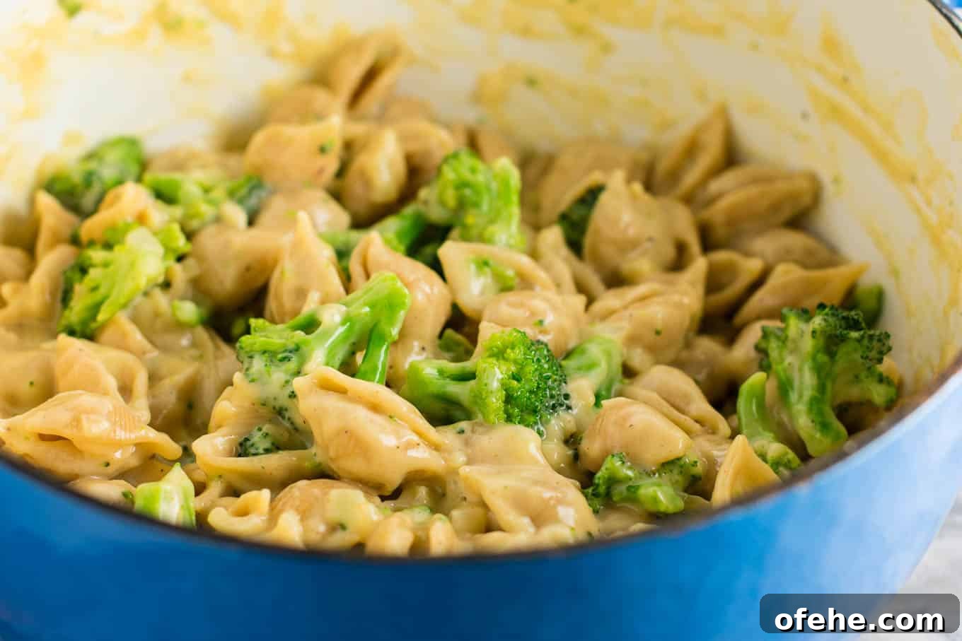 Creamy Broccoli Macaroni and Cheese Bake 4 Lightened up broccoli shells and cheese with sharp cheddar cheese and whole wheat pasta.