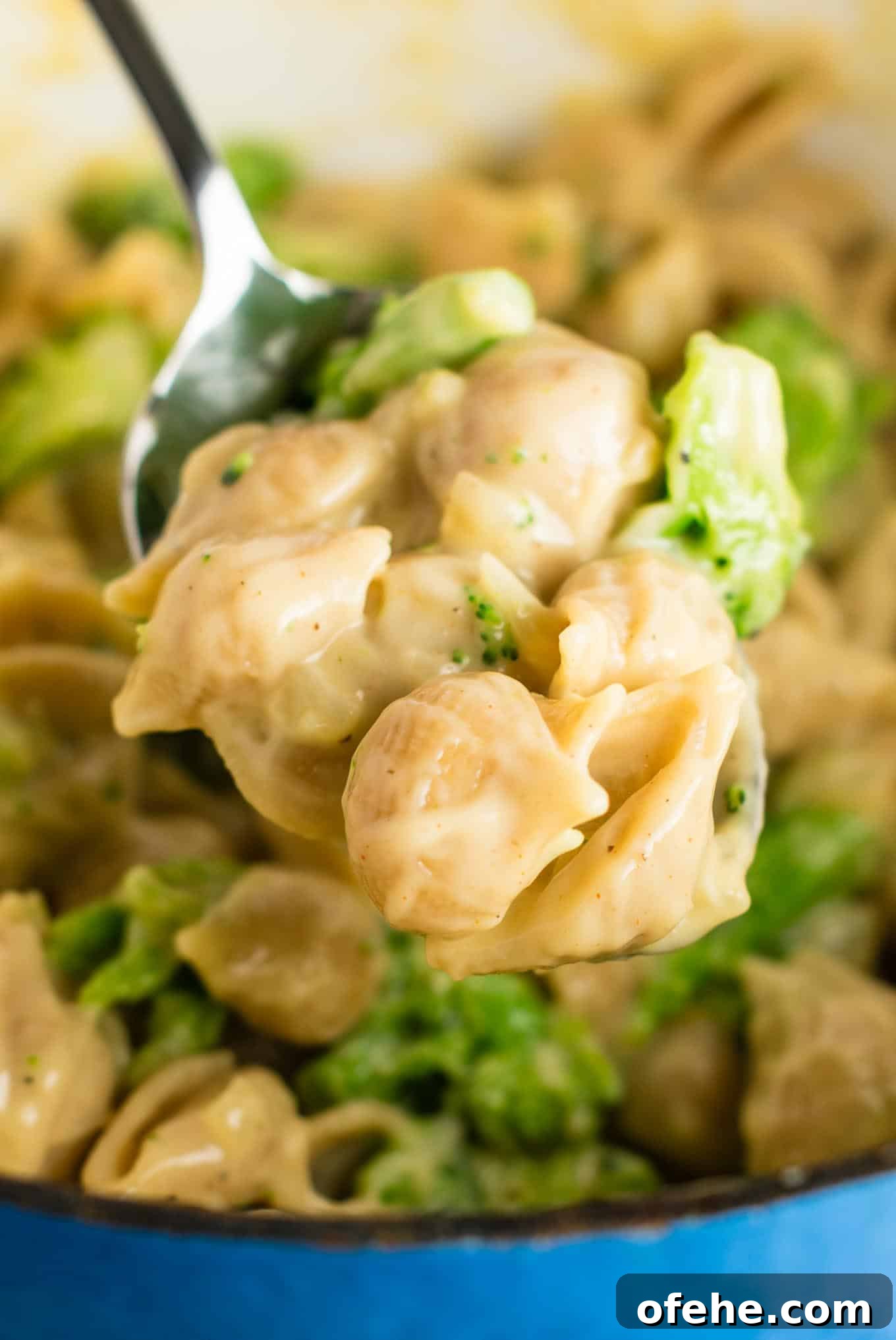 Creamy Broccoli Macaroni and Cheese Bake 5 Lightened up broccoli mac and cheese with sharp cheddar cheese and whole wheat pasta.