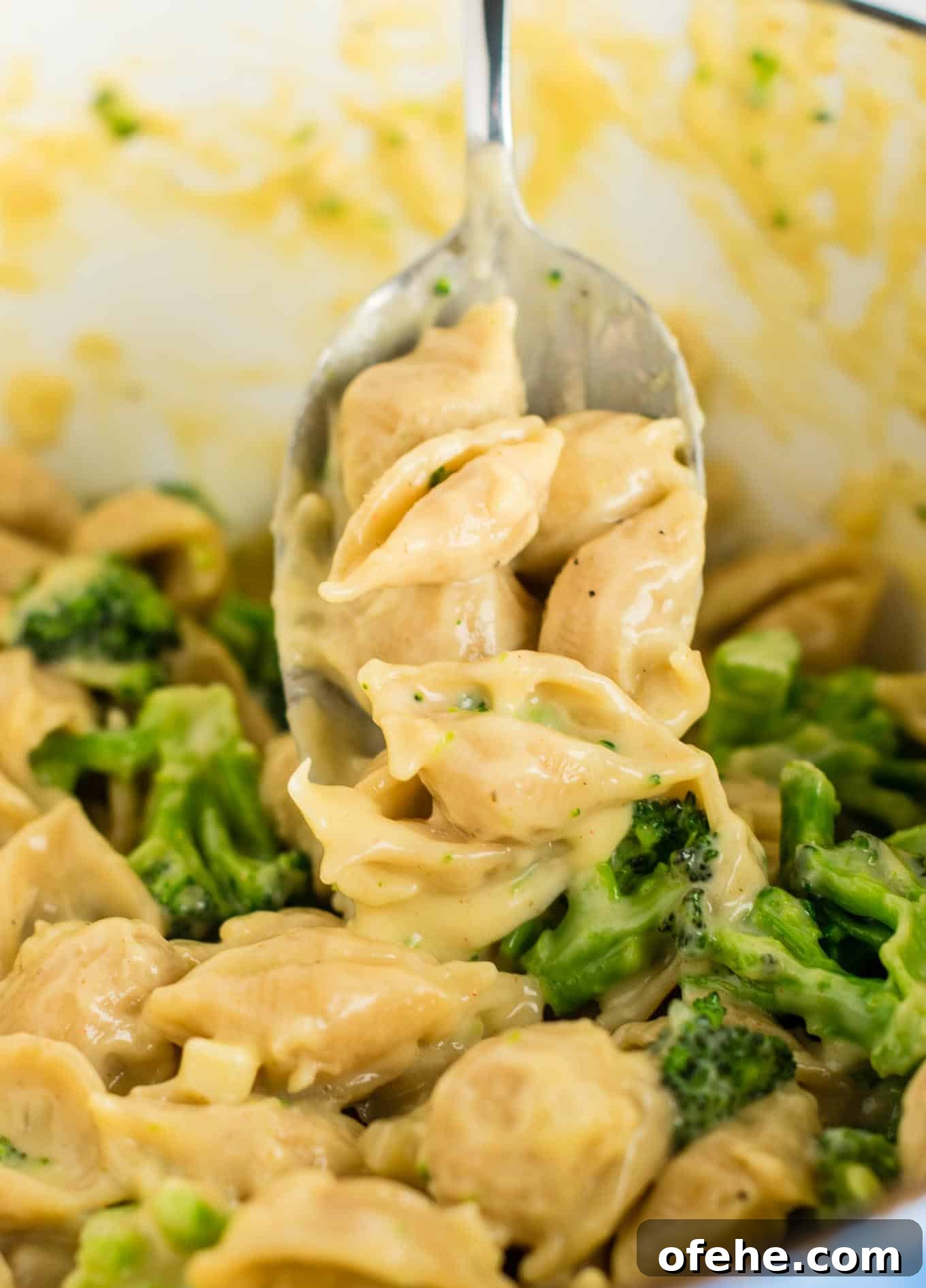 Creamy Broccoli Macaroni and Cheese Bake 7 Lightened up broccoli shells and cheese with sharp cheddar cheese and whole wheat pasta.
