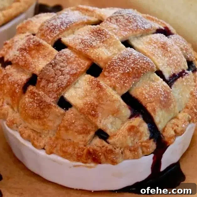 fresh blueberry pies just came out of the oven