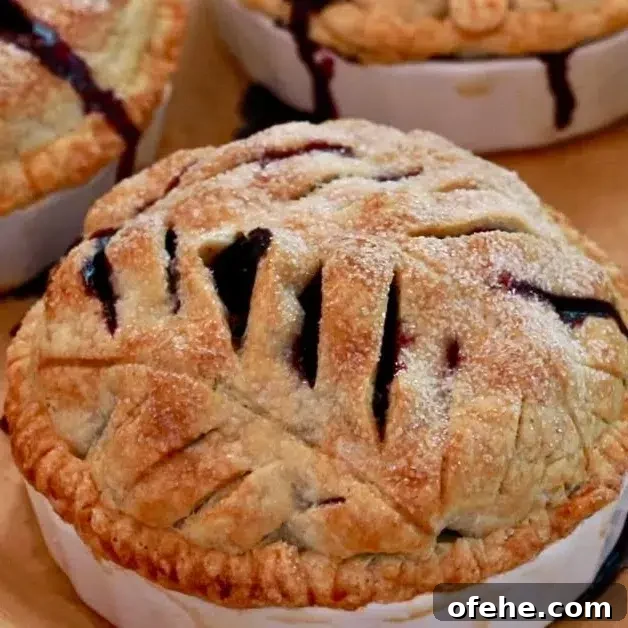 hot blueberry pies just came out of the oven
