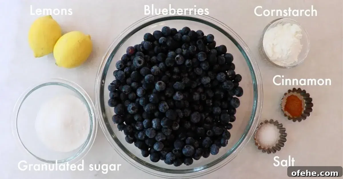 ingredients to make blueberry pie filling