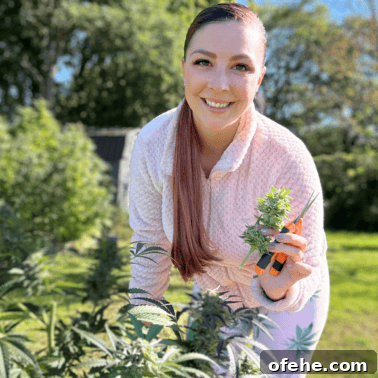 How to Dry Cannabis to Preserve Flavor and Potency 11 A picture of Emily Kyle harvesting a cannabis plant.