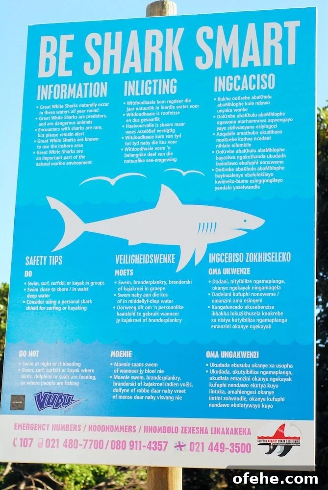 Sunday at Llandudno Beach: Guide to Things to Do and See 4 img 70 3