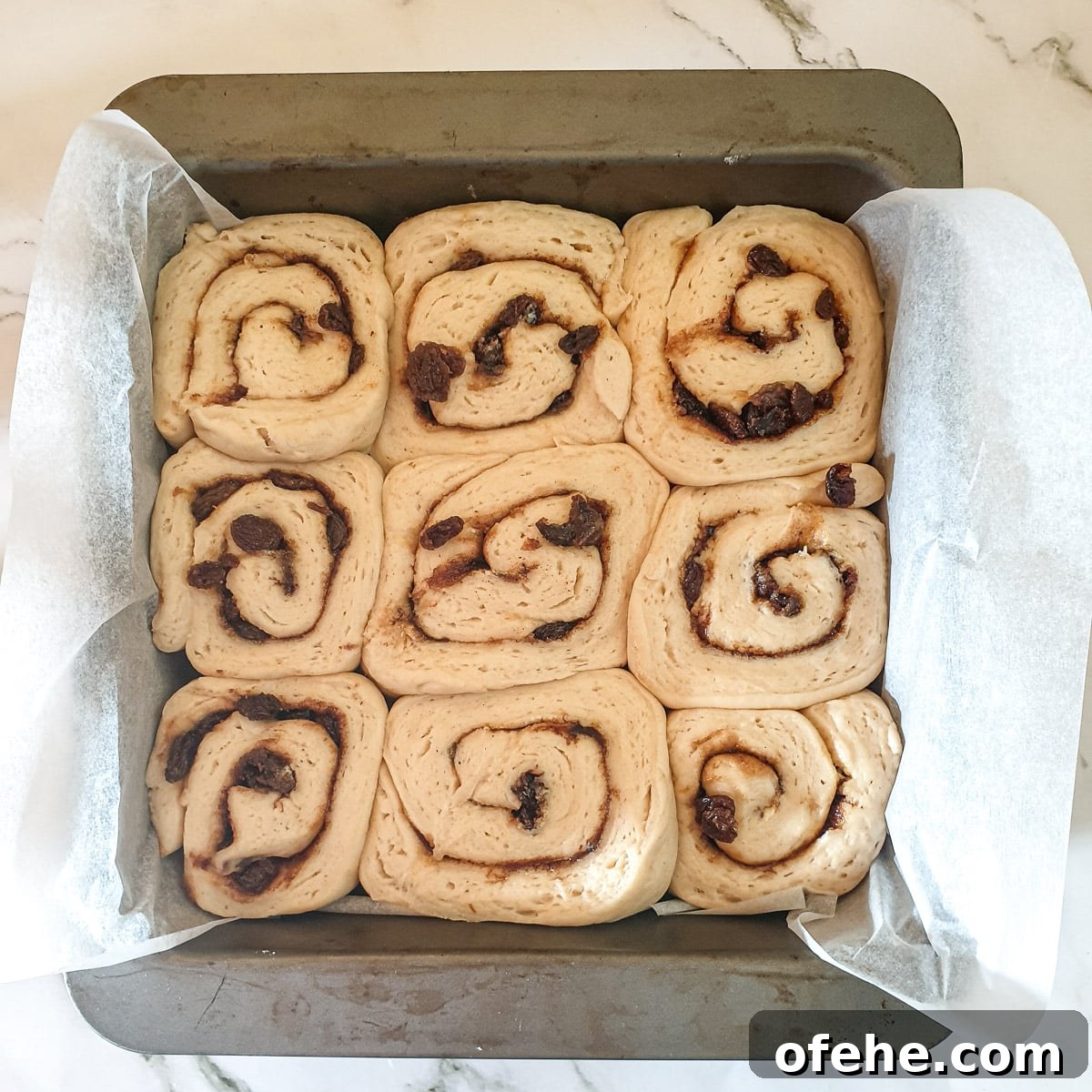 Homemade Chelsea Buns: Soft Cinnamon-Spiced Sticky Buns 17 A tray of risen buns before they are put into the oven.