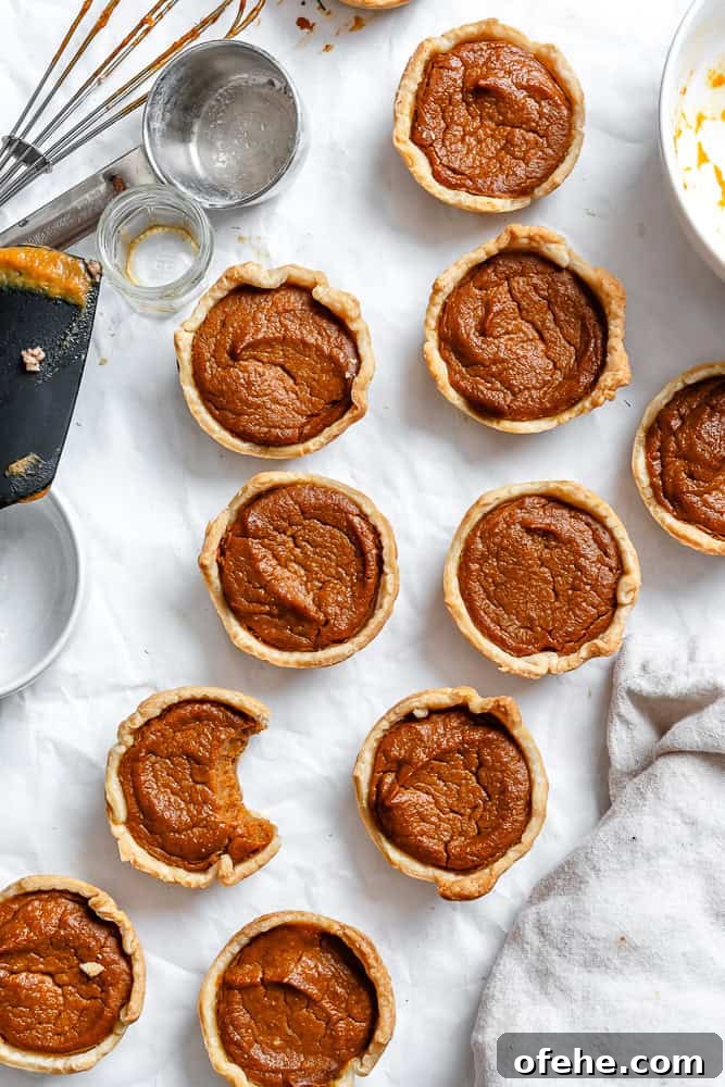 Mini Pumpkin Pie Recipe: Perfect Individual Fall Desserts 2 completed Mini Pumpkin Pies on a white surface