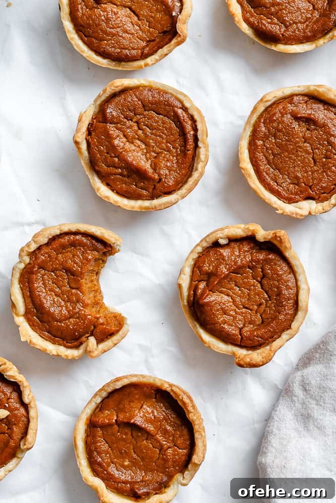 Mini Pumpkin Pie Recipe: Perfect Individual Fall Desserts 7 completed Mini Pumpkin Pies on a white surface
