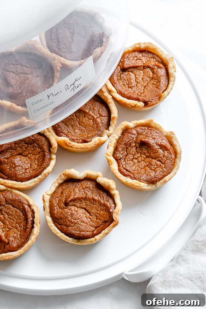 Mini Pumpkin Pie Recipe: Perfect Individual Fall Desserts 8 completed Mini Pumpkin Pies in storage container