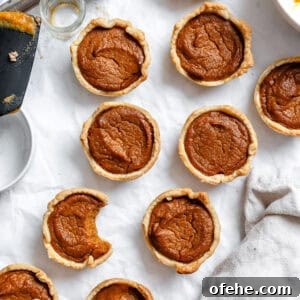 Mini Pumpkin Pie Recipe: Perfect Individual Fall Desserts 9 completed Mini Pumpkin Pies on a white surface