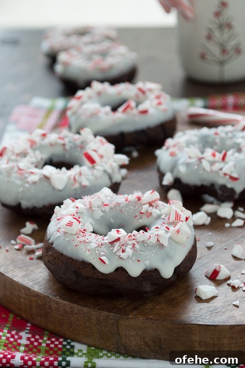 Chocolate Candy Cane Donuts: Peppermint Chocolate Donut Recipe 3 Baked chocolate donuts infused with peppermint flavor, topped with white chocolate and crushed candy canes.