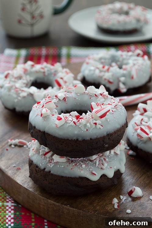 Chocolate Candy Cane Donuts: Peppermint Chocolate Donut Recipe 5 Baked chocolate donuts infused with peppermint flavor, topped with white chocolate and crushed candy canes.
