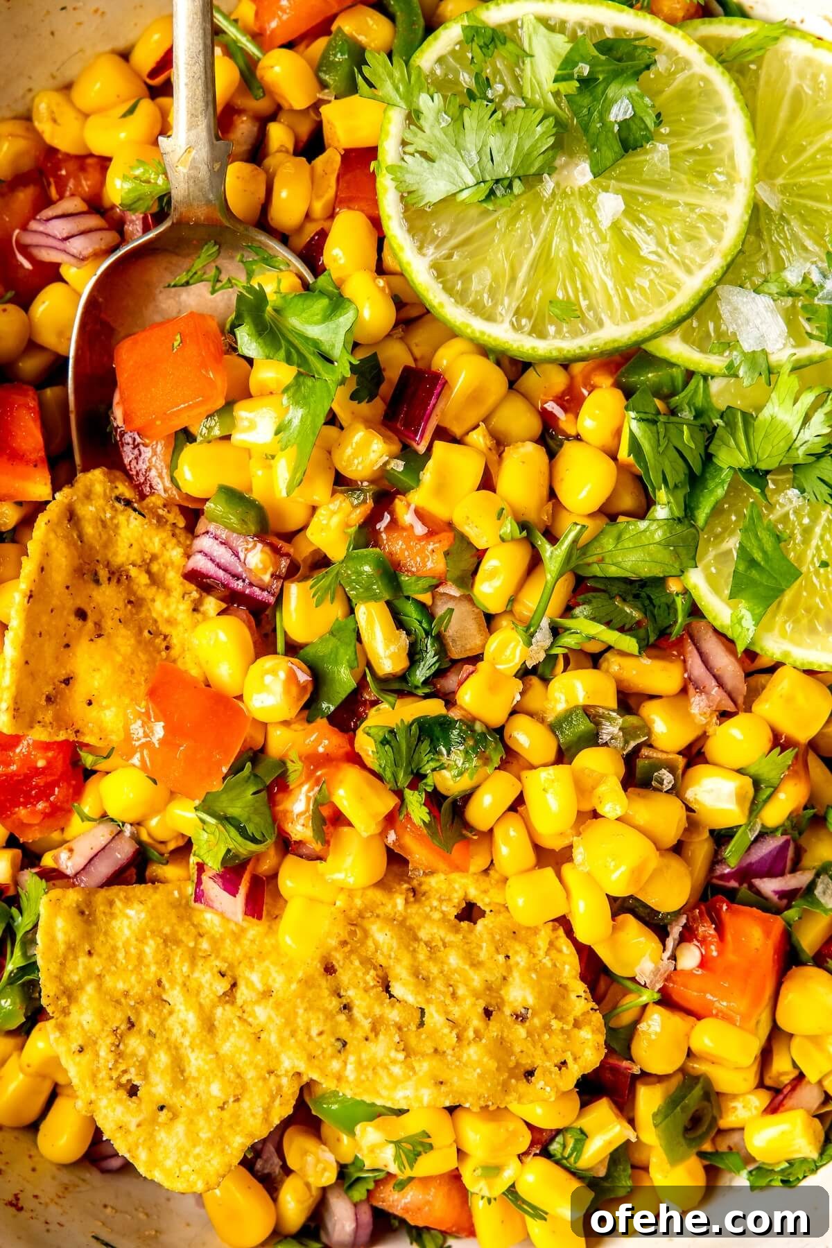 Fresh Sweet Corn Salsa Recipe for Summer Parties 7 Fresh Sweet Corn Salsa - Olivia Adriance