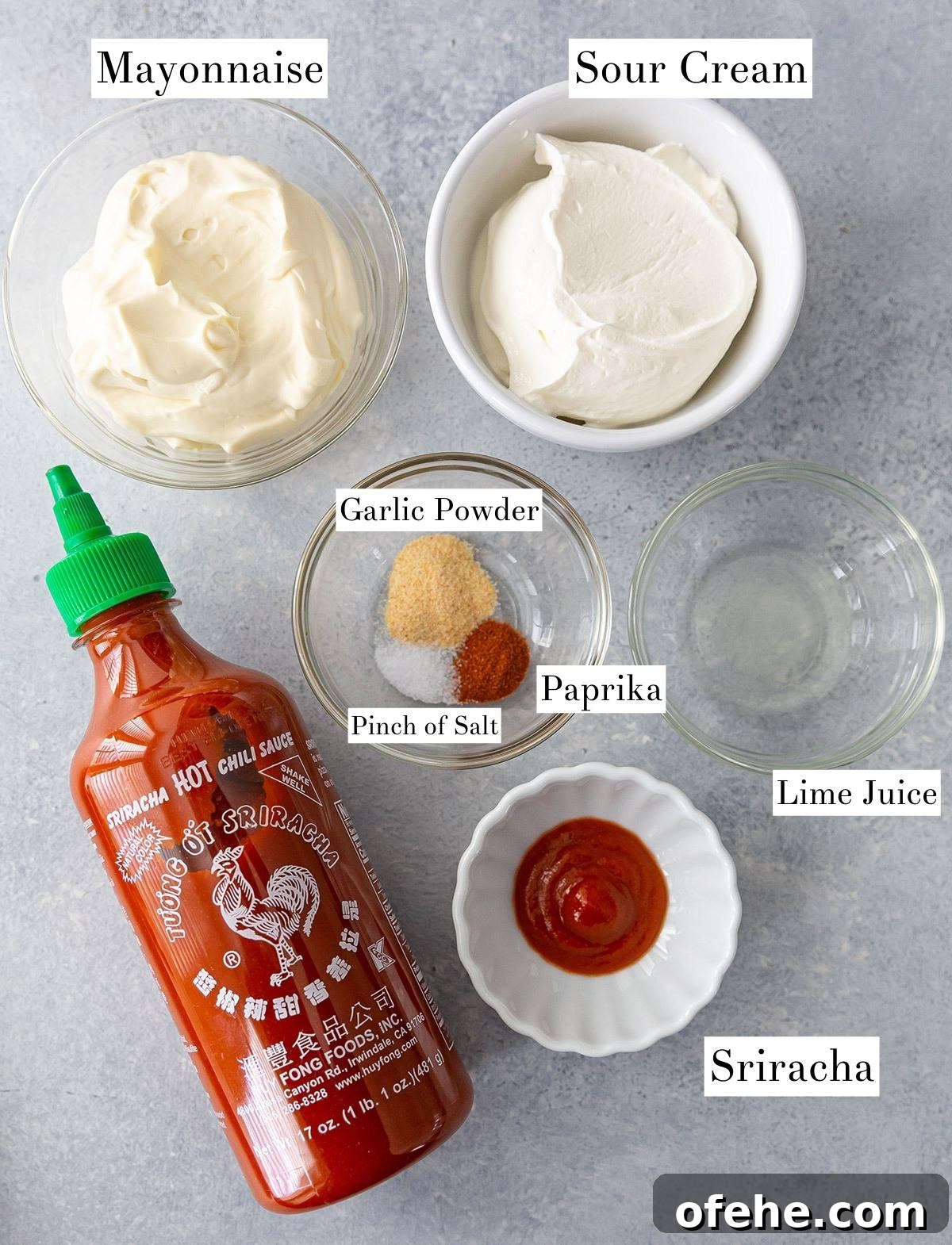 Sriracha Dipping Sauce Recipe: Spicy Garlic Aioli for Any Dish 4 Creamy Sriracha Dipping Sauce ingredients
