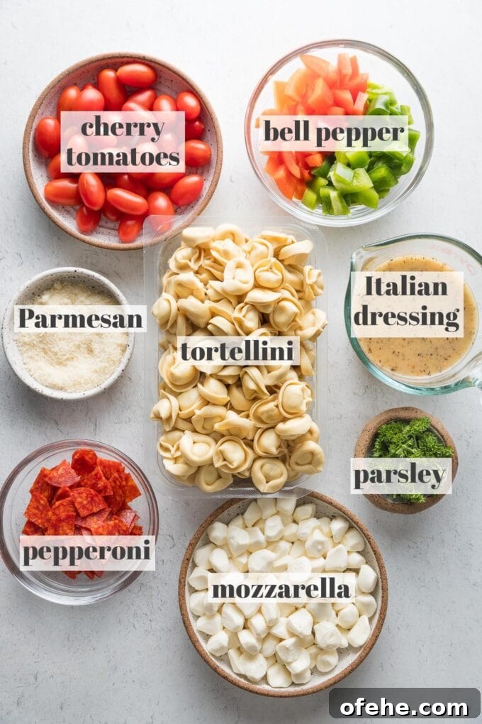 Creamy Italian Tortellini Salad with Sun-Dried Tomatoes & Pesto 3 Labeled overhead photo of cheese tortellini, fresh mozzarella, chopped bell peppers, cherry tomatoes, pepperoni, Parmesan, parsley, and Italian dressing.