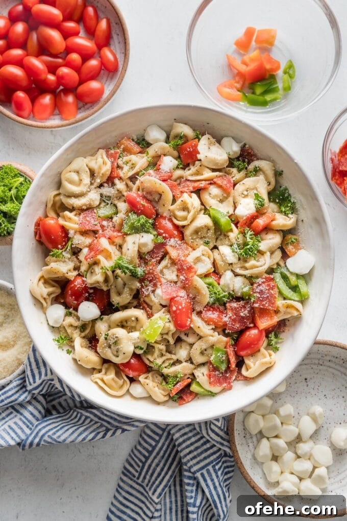 Creamy Italian Tortellini Salad with Sun-Dried Tomatoes & Pesto 6 Bowl full of Italian tortellini pasta salad with veggies, pepperoni, and Italian dressing.