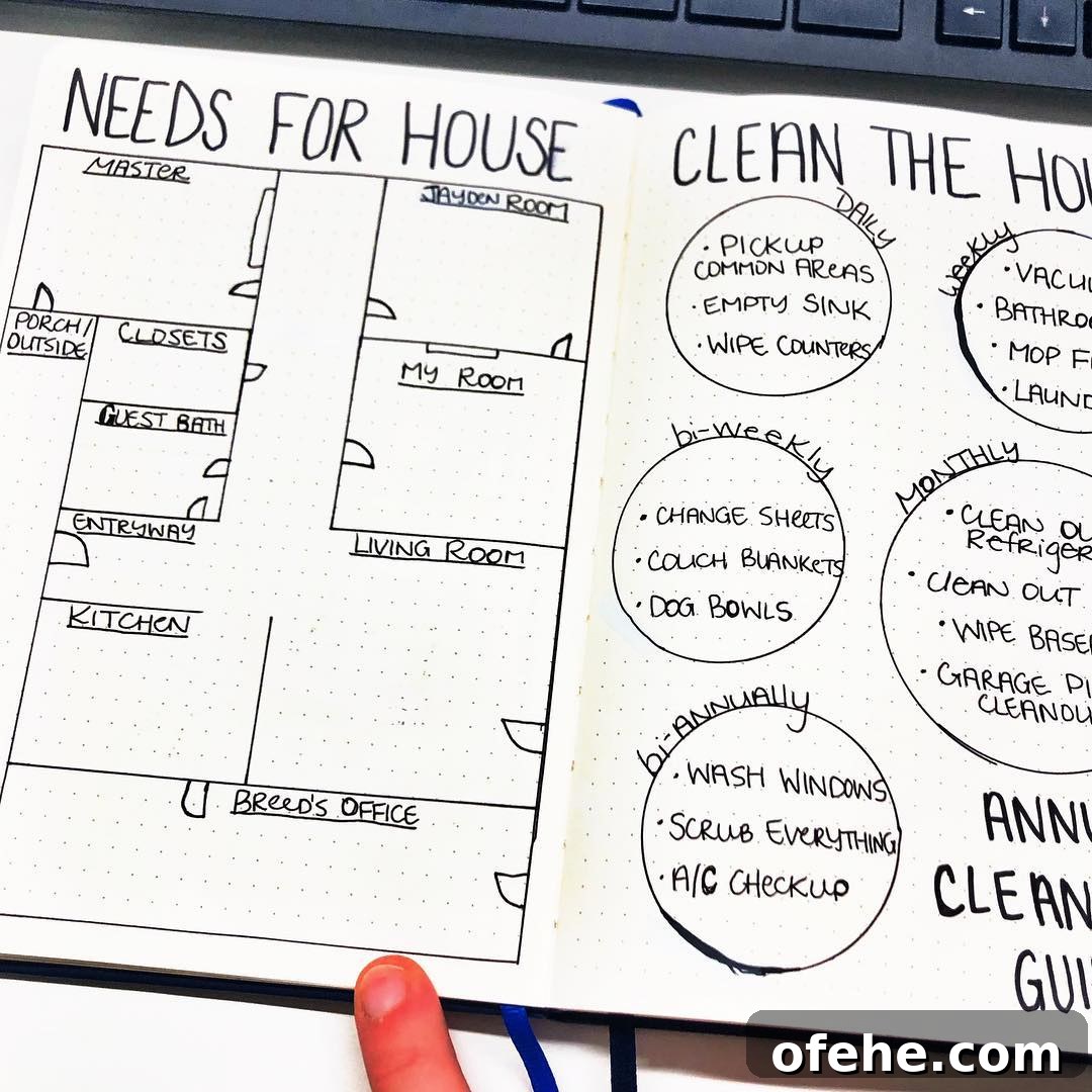 Needs for House Cleaning Spread