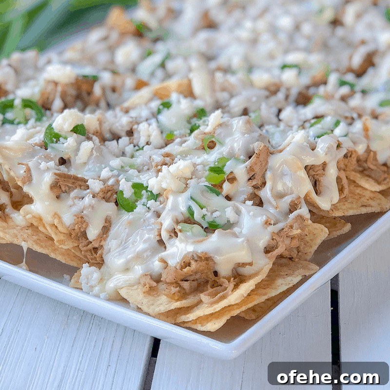 nacho chips topped with pulled pork and melted cheese.