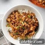 asian ground tofu crumbles over rice