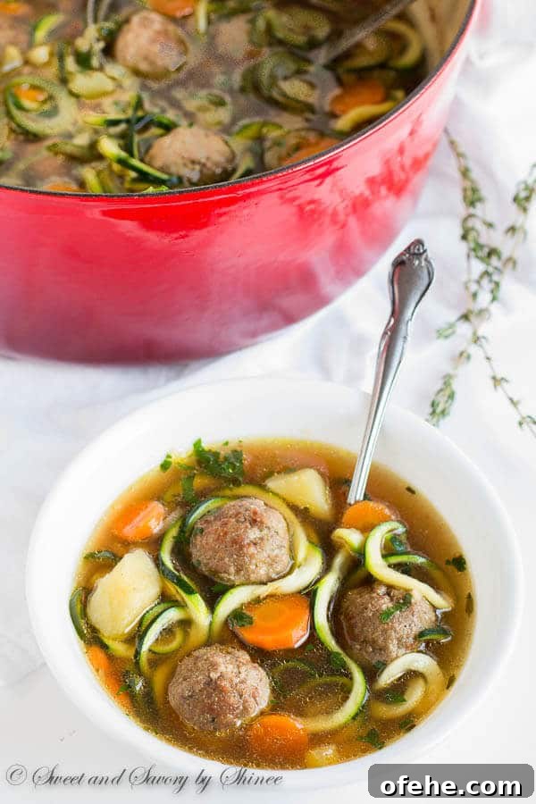Comforting Vegetable Meatball Soup Recipe with Fresh Herbs 5 Loaded with vegetables and homemade meatballs, this light, yet hearty soup comes together in less than 45 minutes. Great weeknight and weekend dinner!