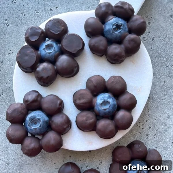 Creamy Fruit Yogurt Dip Recipe for Parties and Snacks 4 Five flower-shaped chocolate bites with a blueberry center are arranged on a white, round serving board atop a gray textured surface.