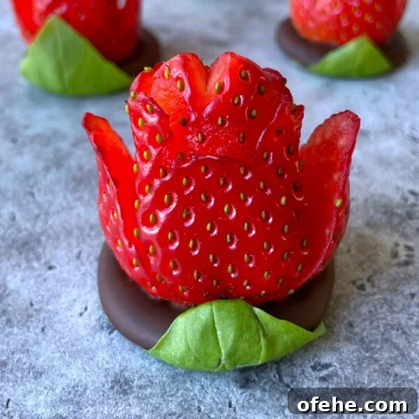 Creamy Fruit Yogurt Dip Recipe for Parties and Snacks 5 A chocolate strawberry rose, carved to resemble a blooming flower, sits atop a round piece of chocolate with a green leaf at the base.