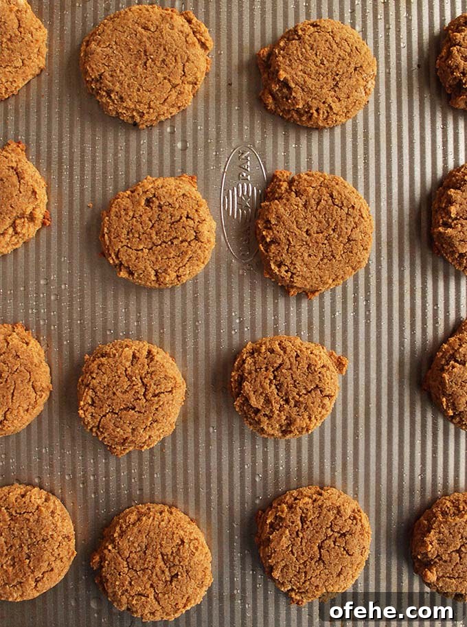 Soft Pumpkin Cookies with Cashew Frosting — Gluten-Free Recipe 4 Soft pumpkin cookies with cashew frosting - Pillow-y soft pumpkin cookies topped with cashew frosting that tastes like buttercream. The perfect dessert recipe for fall or the holidays, especially Thanksgiving! (Gluten free and Dairy Free) | robustrecipes.com