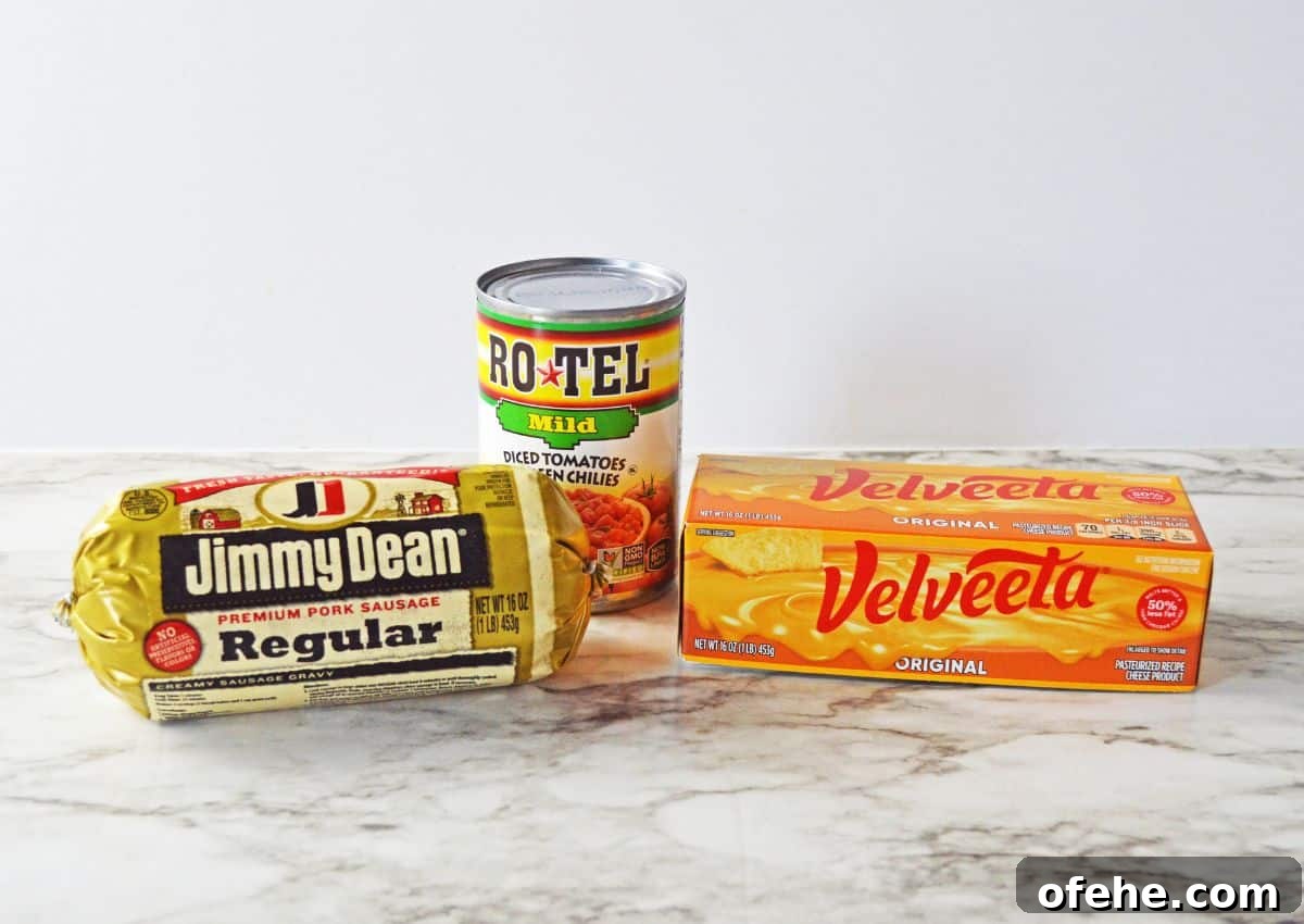 Creamy Queso Dip with Rotel Tomatoes and Diced Chilies 4 a can of rotel, roll of sausage, and box of velveeta on a counter.