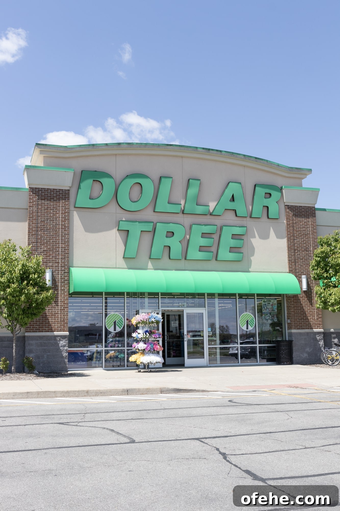 5 Items Superfans Say You Should Never Buy at Dollar Tree 2 front entrance of dollar tree store