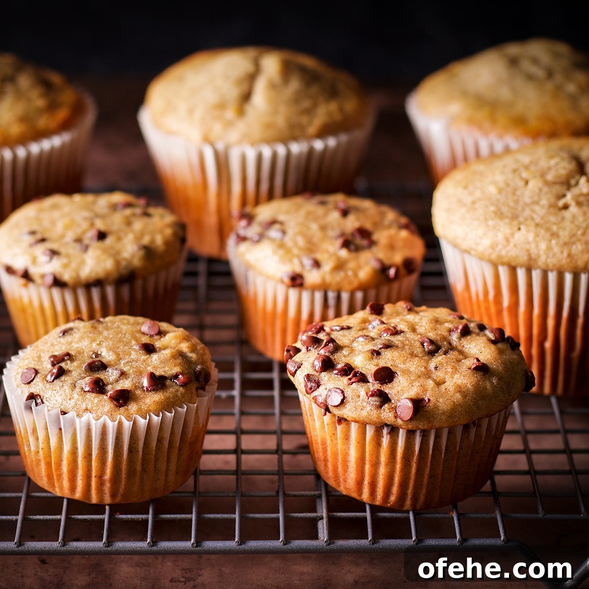 A variety of gluten free banana muffins, some with chocolate chips and some without, cooling on a wire rack.