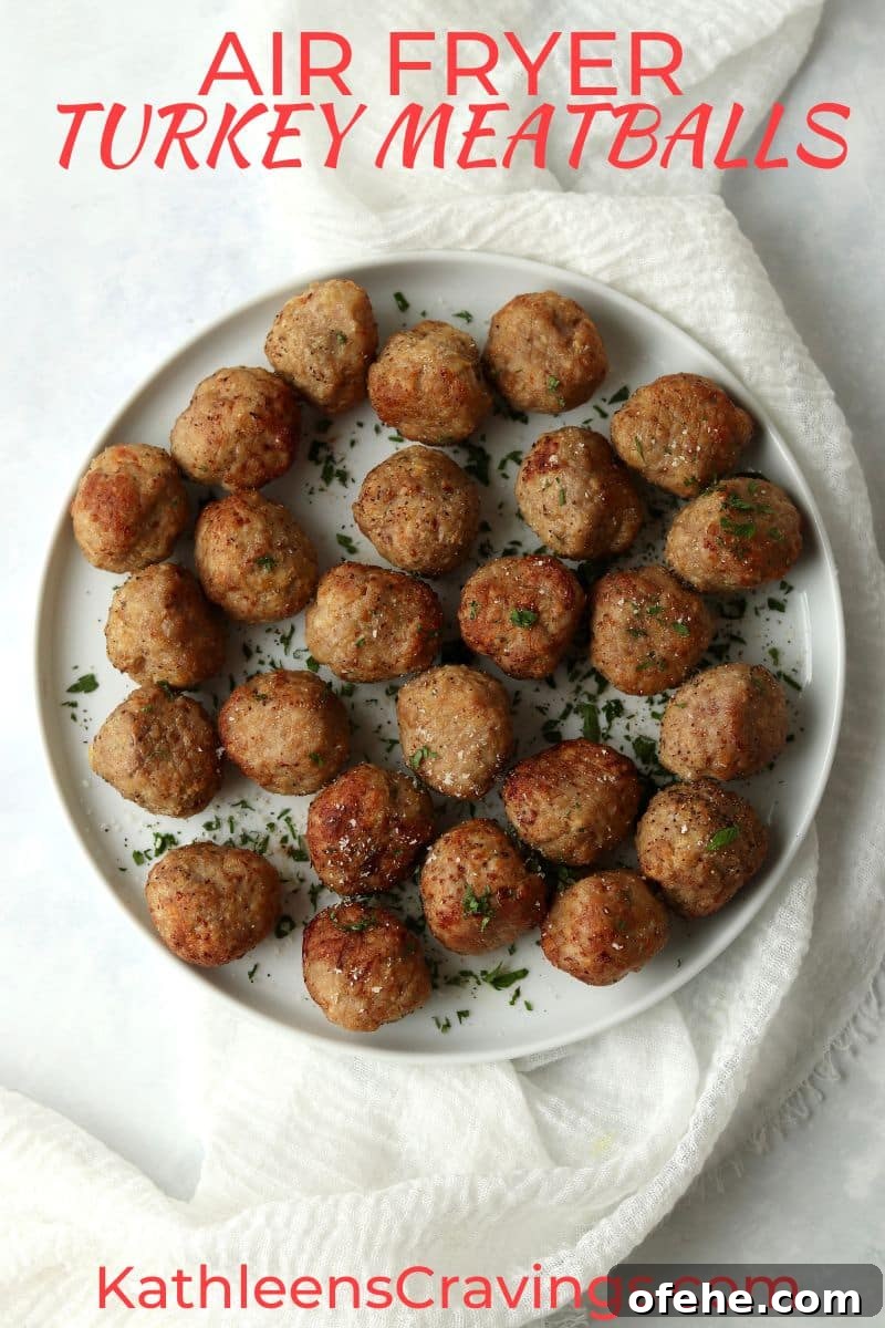 Crispy Air Fryer Turkey Meatballs Recipe for Quick Dinners 2 air fryer turkey meatballs on a plate