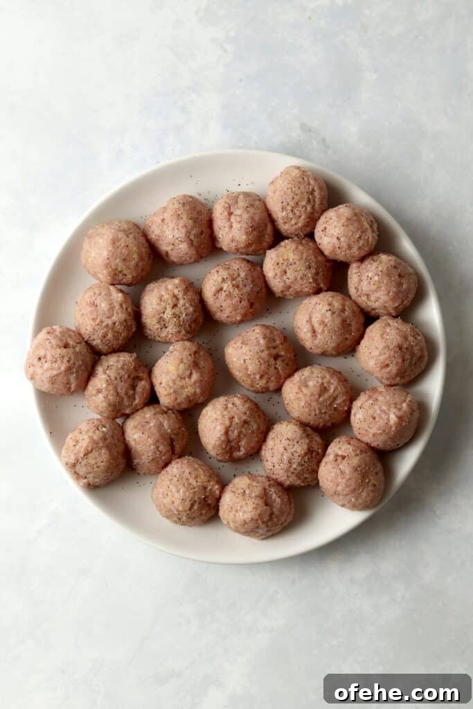 Crispy Air Fryer Turkey Meatballs Recipe for Quick Dinners 6 raw formed turkey meatballs