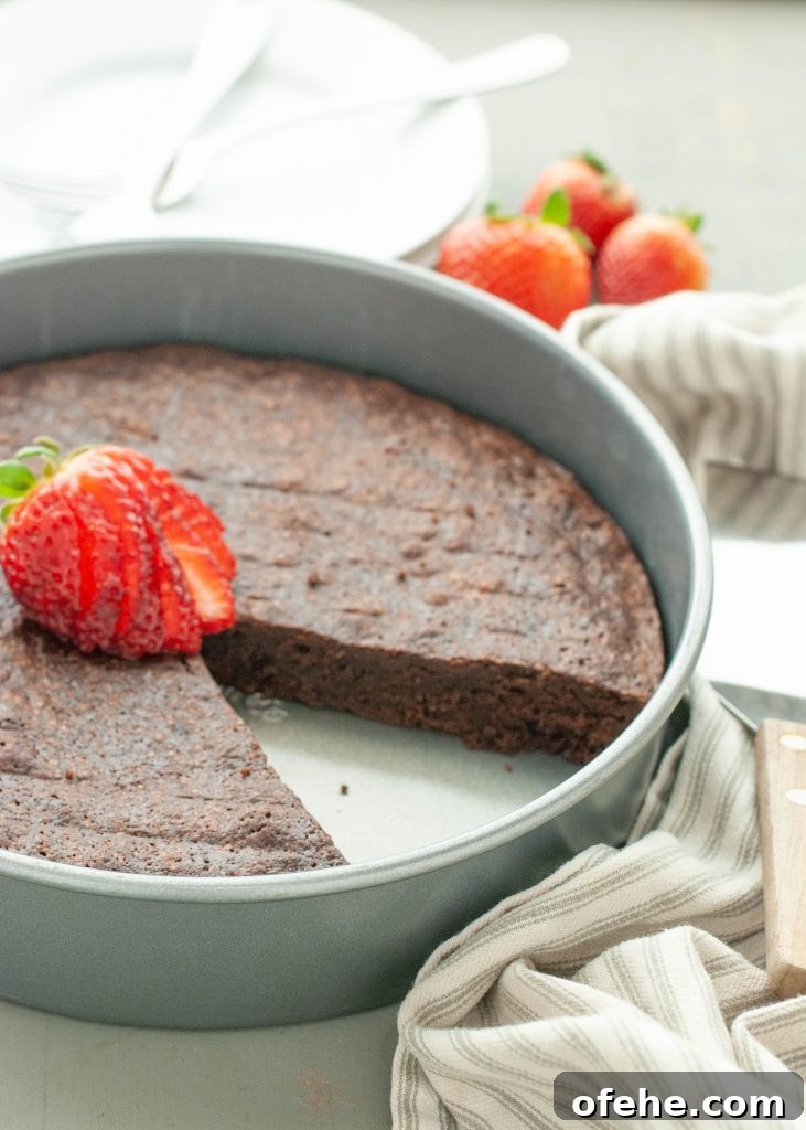 Flourless Chocolate Torte (Gluten-Free) Recipe + Video Tutorial 6 flourless-chocolate-torte-in-pan-with-slice-missing