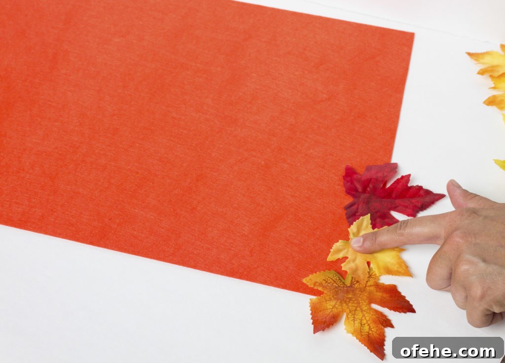 Fall Table Place Mats 
