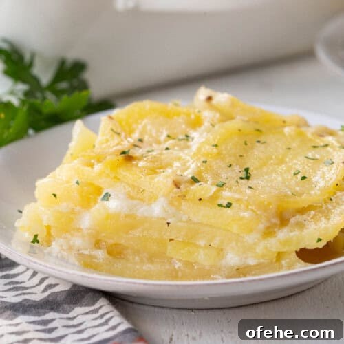 layers of scalloped potatoes on a white plate.