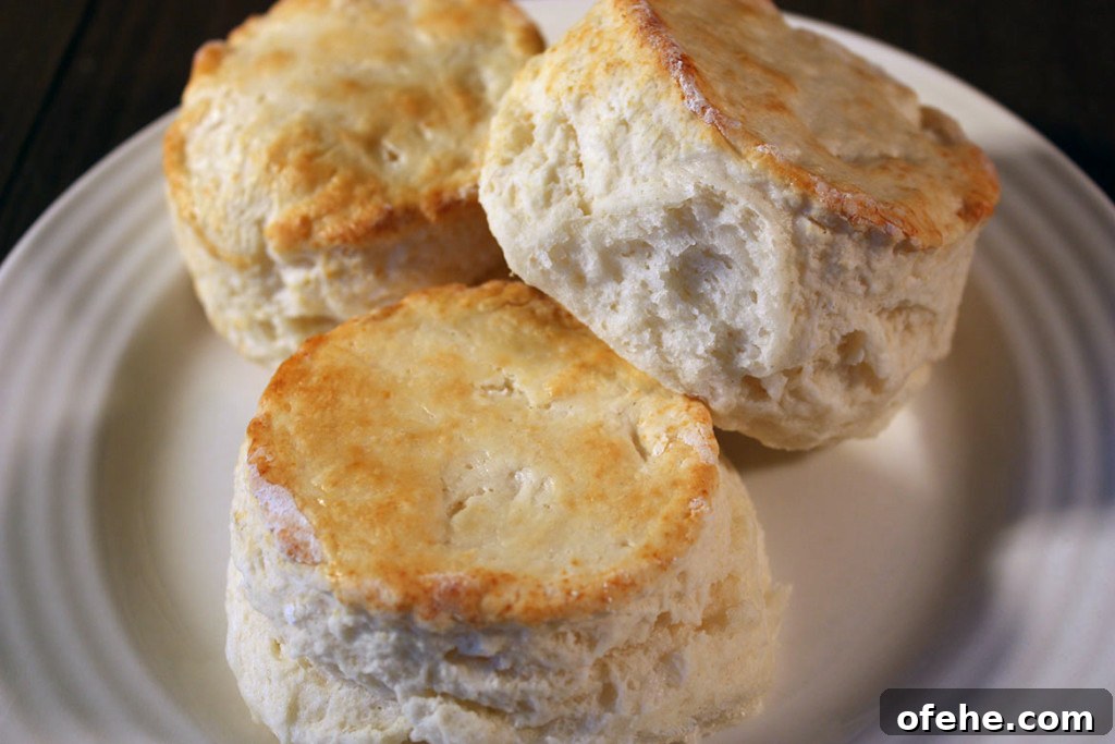 Homemade Biscuits on a white plate.