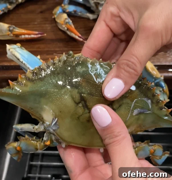 How to Make Ganjang Gejang (Soy-Marinated Raw Crab) 13 img 4525 12