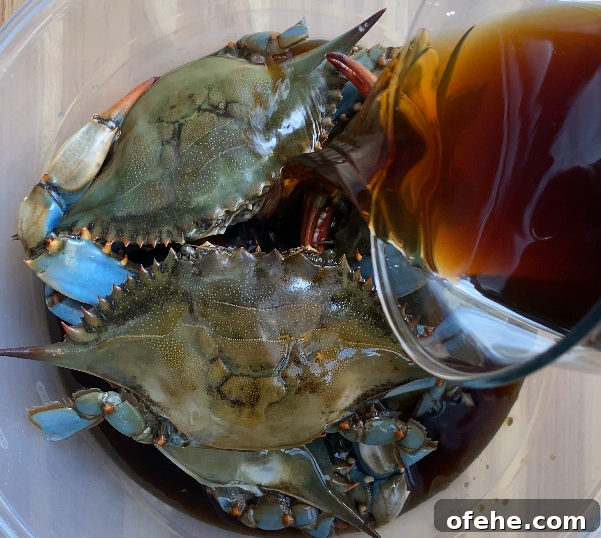 How to Make Ganjang Gejang (Soy-Marinated Raw Crab) 14 img 4525 13