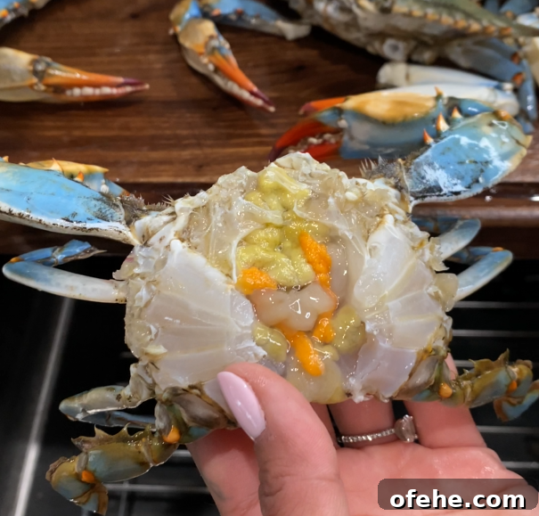 How to Make Ganjang Gejang (Soy-Marinated Raw Crab) 10 img 4525 9