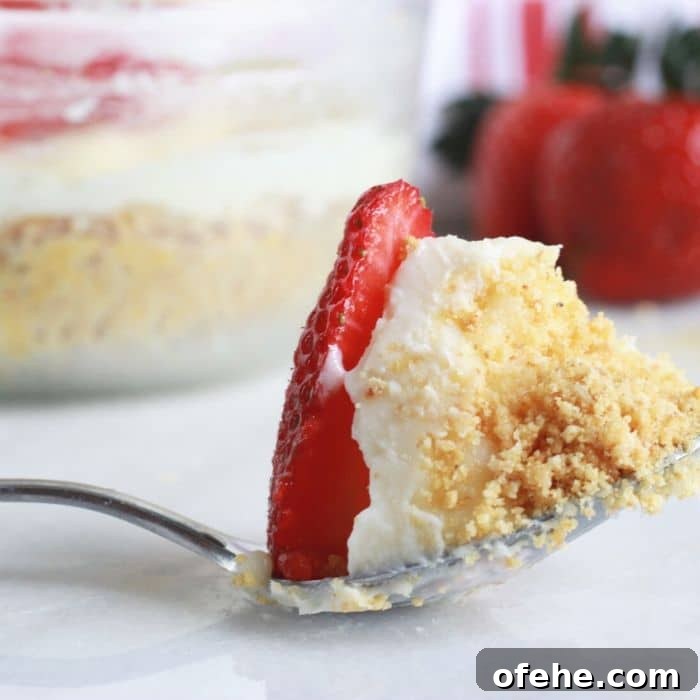 easy cheesecake recipe