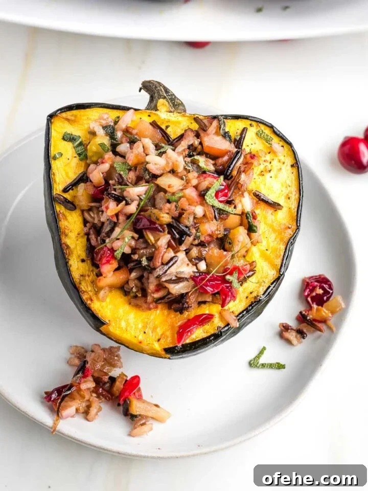 Acorn squash half, filled with wild rice and cranberry stuffing.