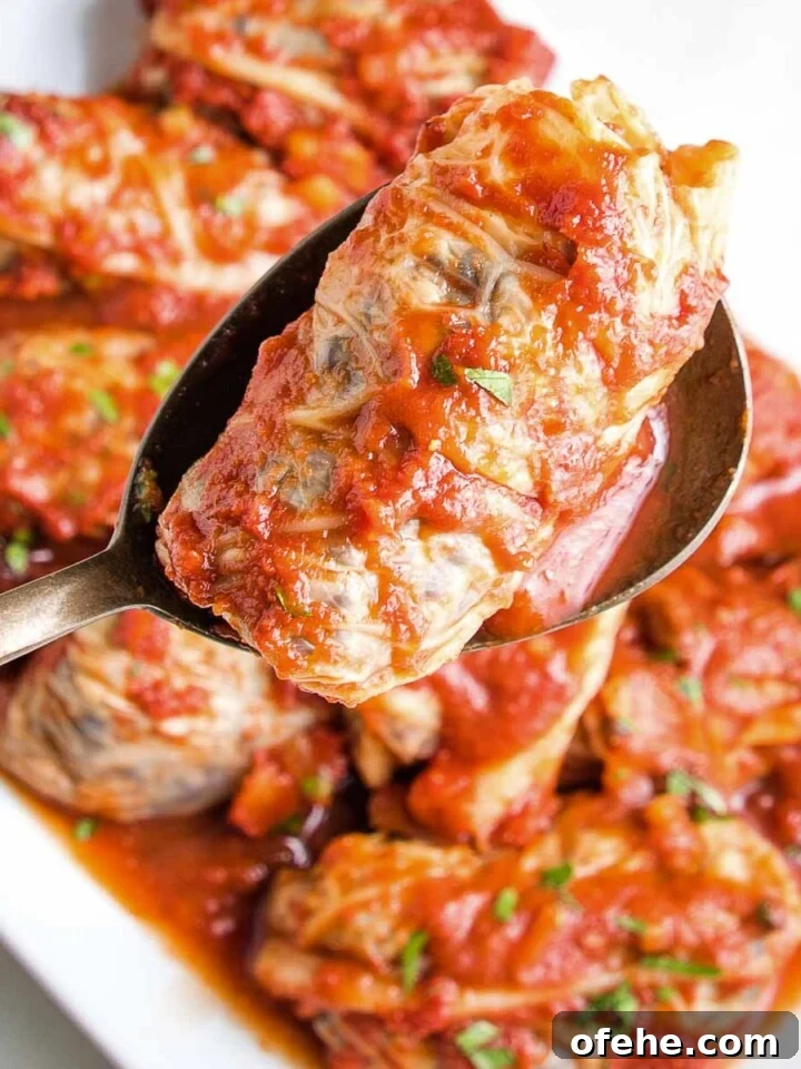 Platter of stuffed cabbage rolls with tomato sauce and one up close.